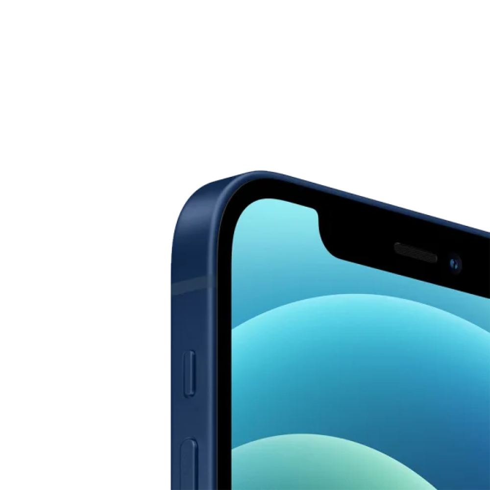 Смартфон Apple iPhone 12 64GB Blue (MGJ83/MGH93)