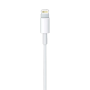 Кабель Lightning Apple USB-C to Lightning Cable 1m (MM0A3)
