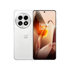 Смартфон OnePlus 13 12/256GB Arctic Dawn