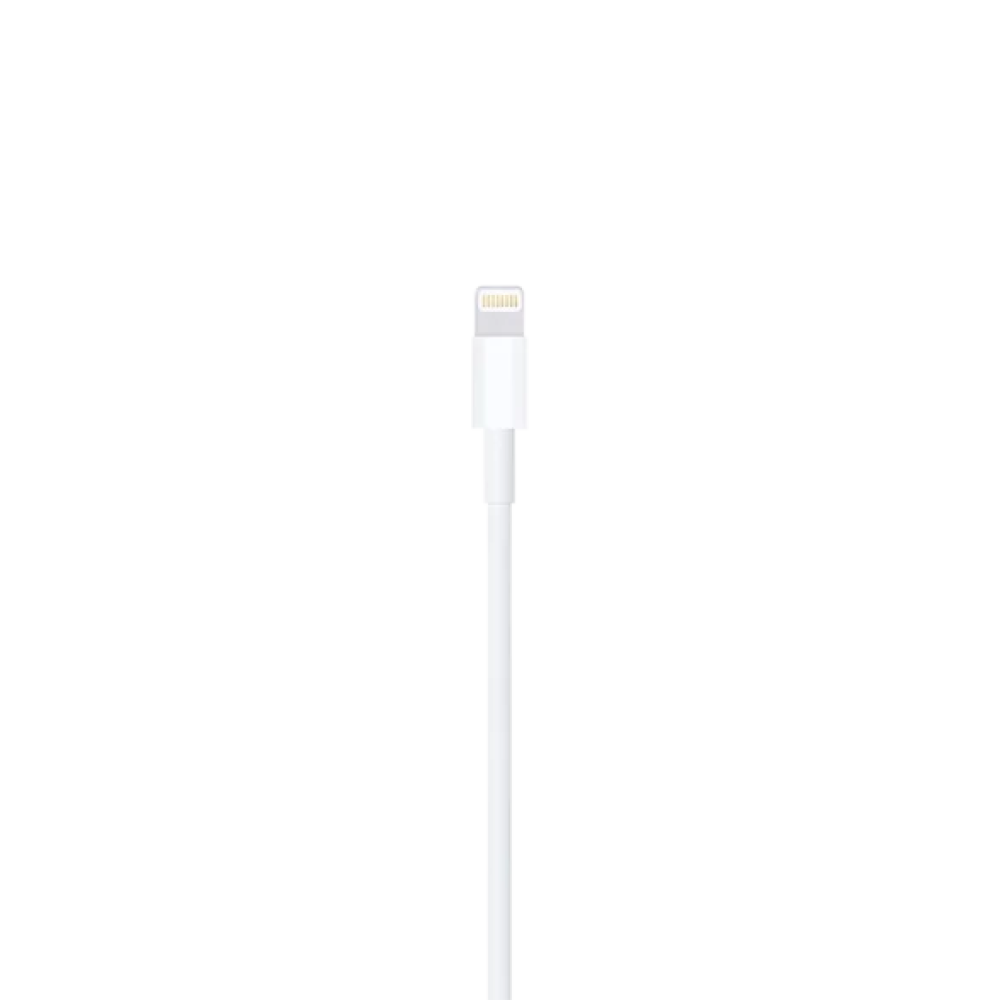 Кабель Apple iPhone/iPad Lightning (MD818)