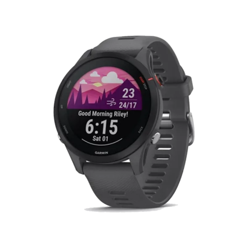 Смарт-годинник Garmin Forerunner 255 Slate Gray (010-02641-00/10/43)