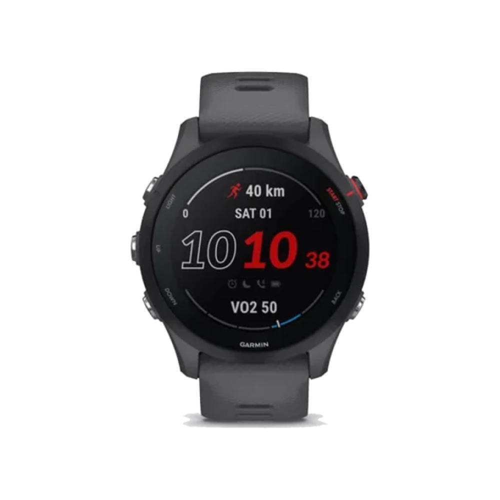 Смарт-годинник Garmin Forerunner 255 Slate Gray (010-02641-00/10/43)