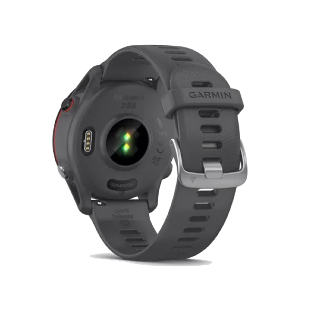 Смарт-годинник Garmin Forerunner 255 Slate Gray (010-02641-00/10/43)
