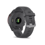 Смарт-годинник Garmin Forerunner 255 Slate Gray (010-02641-00/10/43)